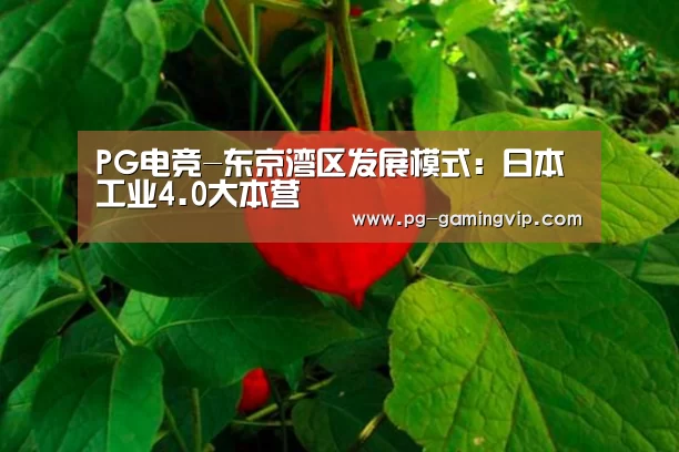 PG电竞