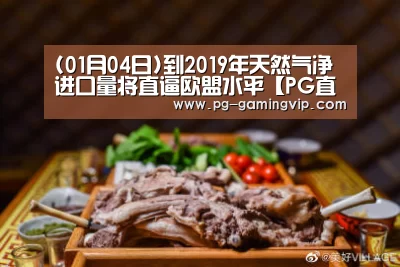 (01月04日)到2019年天然气净进口量将直逼欧盟水平【PG直播】(图1) PG直播