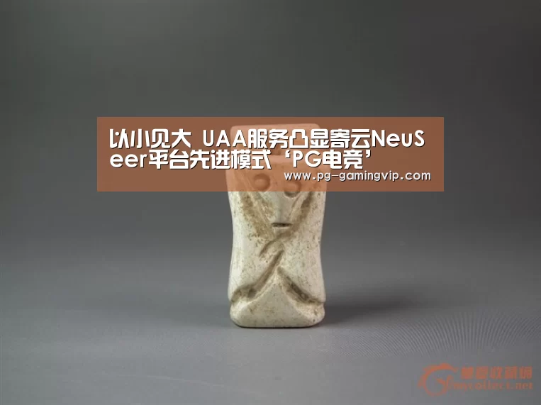 以小见大 UAA服务凸显寄云NeuSeer平台先进模式‘PG电竞’(图2) PG电竞